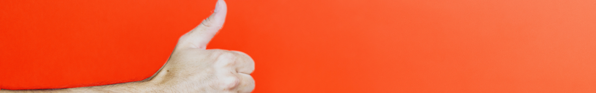 Bild mit mehreren arten von Fenstern